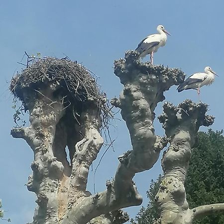 A La Tour Des Rohan Διαμέρισμα Στρασβούργο Εξωτερικό φωτογραφία